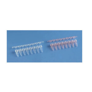 Fisherbrand 8連PCRチューブ