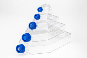 Fisherbrand 細胞培養フラスコ