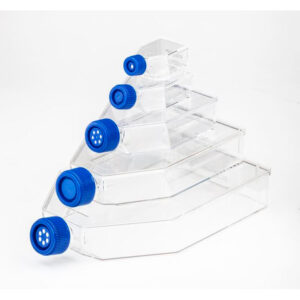 Fisherbrand 細胞培養フラスコ