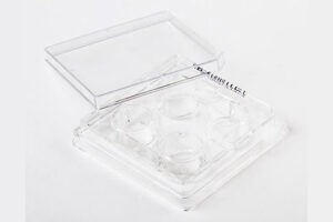 Fisherbrand 細胞培養マルチディッシュ