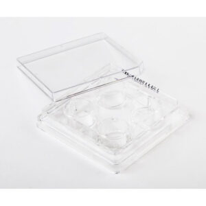 Fisherbrand 細胞培養マルチディッシュ