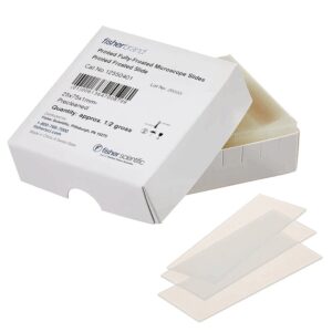 Fisherbrand™フルフロスト細胞用スライド