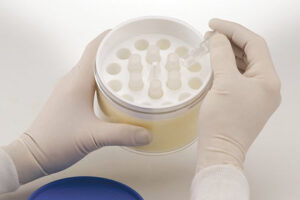 Bel-Art フリーズコントローラー